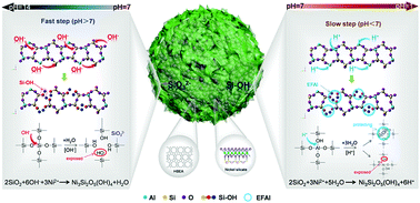 Graphical abstract: A nickel-phyllosilicate core–echinus catalyst via a green and base additive free hydrothermal approach for hydrogenation reactions
