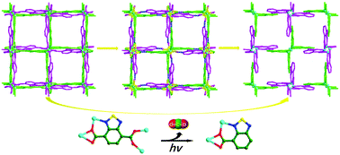 Graphical abstract: Unique structural micro-adjustments in a new benzothiadiazole-derived Zn(ii) metal organic framework via simple photochemical decarboxylation