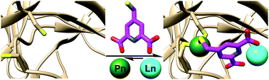 Graphical abstract: Site-selective tagging of proteins by pnictogen-mediated self-assembly