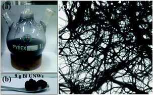 Graphical abstract: Polymer-mediated metallophilic interactions for gram-scale production, high-yield (∼90%) synthesis of ultrathin bismuth nanowires