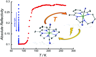 Graphical abstract: Direct crystallographic evidence of the reversible photo-formation and thermo-rupture of a coordination bond inducing spin-crossover phenomenon