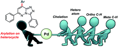 Graphical abstract: Pd-Catalyzed C–H arylation of pyridazine-based fused 1,2,4-triazoles: overriding selectivity at the usual position by undermining of preferred chelate formation