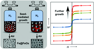 Graphical abstract: Size and shape evolution of highly magnetic iron nanoparticles from successive growth reactions