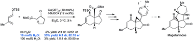 Graphical abstract: Effect of protic additives in Cu-catalysed asymmetric Diels–Alder cycloadditions of doubly activated dienophiles: towards the synthesis of magellanine-type Lycopodium alkaloids