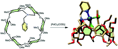 Graphical abstract: Aza-capped cyclodextrins for intra-cavity metal complexation