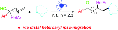 Graphical abstract: Direct alkylheteroarylation of alkenes via photoredox mediated C–H functionalization