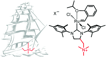 Graphical abstract: Forged and fashioned for faithfulness—ruthenium olefin metathesis catalysts bearing ammonium tags