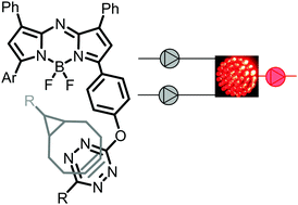 Graphical abstract: Fluorogenic NIR-probes based on 1,2,4,5-tetrazine substituted BF2-azadipyrromethenes