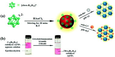 Graphical abstract: From boron clusters to gold clusters: new label-free colorimetric sensors