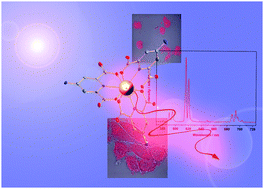 Graphical abstract: Selective cytotoxicity and luminescence imaging of cancer cells with a dipicolinato-based EuIII complex