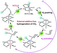 Graphical abstract: A DFT study unveils the secret of how H2 is activated in the N-formylation of amines with CO2 and H2 catalyzed by Ru(ii) pincer complexes in the absence of exogenous additives