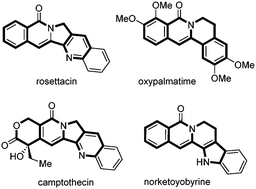 Graphical abstract: Rhodium(iii)-catalyzed intramolecular annulation through C–H activation: concise synthesis of rosettacin and oxypalmatime