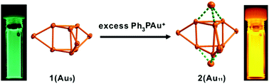 Graphical abstract: Intensely luminescent gold(i) phosphinopyridyl clusters: visualization of unsupported aurophilic interactions in solution