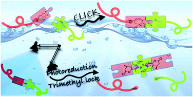 Graphical abstract: Visible-light-mediated cleavage of polymer chains under physiological conditions via quinone photoreduction and trimethyl lock