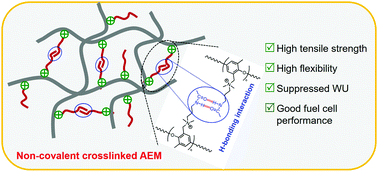 Graphical abstract: A mechanically strong and tough anion exchange membrane engineered with non-covalent modalities