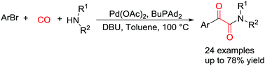 Graphical abstract: Versatile palladium-catalyzed double carbonylation of aryl bromides