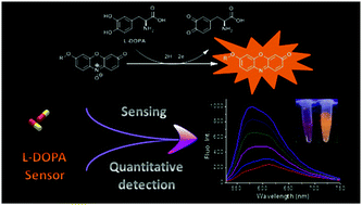 Graphical abstract: A new approach for turn-on fluorescence sensing of l-DOPA