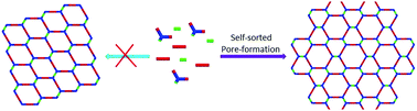 Graphical abstract: Self-sorted pore-formation in the construction of heteropore covalent organic frameworks based on orthogonal reactions