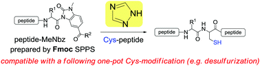 Graphical abstract: 1,2,4-Triazole-aided native chemical ligation between peptide-N-acyl-N′-methyl-benzimidazolinone and cysteinyl peptide