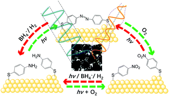 Graphical abstract: Surface-enhanced Raman spectroscopic detection of molecular chemo- and plasmo-catalysis on noble metal nanoparticles