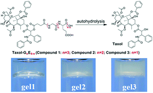 Graphical abstract: Kinetic control over supramolecular hydrogelation and anticancer properties of taxol