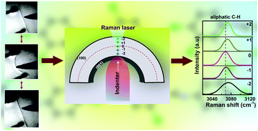 Graphical abstract: Structural analysis of elastically bent organic crystals using in situ indentation and micro-Raman spectroscopy