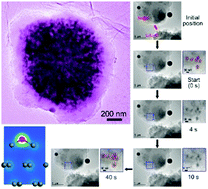 Graphical abstract: A novel tin hybrid nano-composite with double nets of carbon matrixes as a stable anode in lithium ion batteries