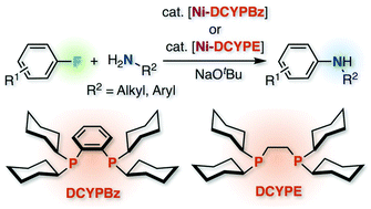 Graphical abstract: Nickel-catalyzed amination of aryl fluorides with primary amines