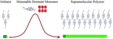 Graphical abstract: Controllable supramolecular polymerization via a chain-growth mechanism