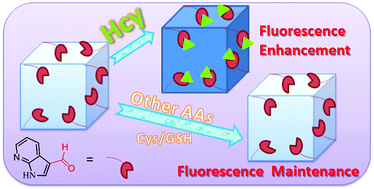 Graphical abstract: Aldehyde-functionalized metal–organic frameworks for selective sensing of homocysteine over Cys, GSH and other natural amino acids