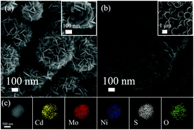 Graphical abstract: Ni3S2@MoO3 core/shell arrays on Ni foam modified with ultrathin CdS layer as a superior electrocatalyst for hydrogen evolution reaction