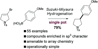 Graphical abstract: Practical synthesis of pharmaceutically relevant molecules enriched in sp3 character