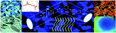 Graphical abstract: Observation of polar order and thermochromic behaviour in a chiral bent-core system exhibiting exotic mesophases due to superstructural frustration