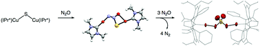 Graphical abstract: Oxidation of a [Cu2S] complex by N2O and CO2: insights into a role of tetranuclearity in the CuZ site of nitrous oxide reductase