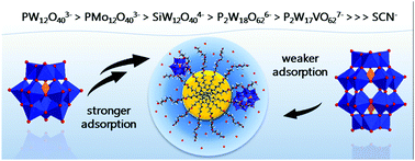 Graphical abstract: Polyoxometalates in the Hofmeister series