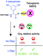 Graphical abstract: A route to diastereomerically pure phenylglycine thioester peptides: crucial intermediates for investigating glycopeptide antibiotic biosynthesis