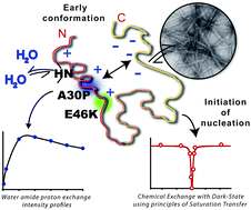 Graphical abstract: Multitude NMR studies of α-synuclein familial mutants: probing their differential aggregation propensities