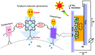 Graphical abstract: Porphyrin-sensitized solar cells: systematic molecular optimization, coadsorption and cosensitization
