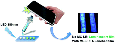 Graphical abstract: Non-enzymatic portable optical sensors for microcystin-LR