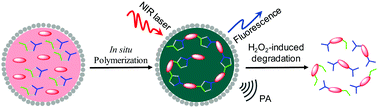 Graphical abstract: Hydrogen peroxide degradable conjugated polymer nanoparticles for fluorescence and photoacoustic bimodal imaging