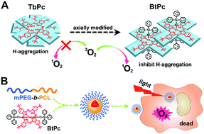 Graphical abstract: Axial modification inhibited H-aggregation of phthalocyanines in polymeric micelles for enhanced PDT efficacy