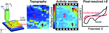 Graphical abstract: High resolution visualization of the redox activity of Li2O2 in non-aqueous media: conformal layer vs. toroid structure