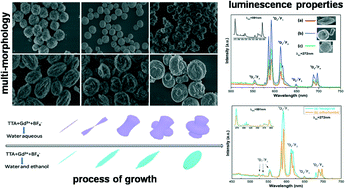 Graphical abstract: Controlled synthesis and luminescence properties of GdF3 with different crystalline phases and morphologies