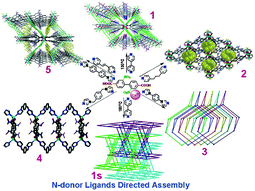 Graphical abstract: N-donor auxiliary ligand-directed assembly of CoII compounds with a 2,2′-dinitro-biphenyl-4,4′-dicarboxylate ligand: structures and magnetic properties