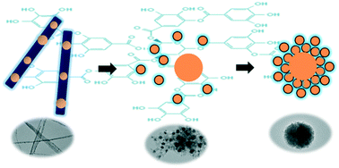 Graphical abstract: Spherically aggregated Cu2O–TA hybrid sub-microparticles with modulated size and improved chemical stability
