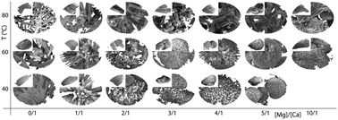 Graphical abstract: Effects of magnesium and temperature control on aragonite crystal aggregation and morphology