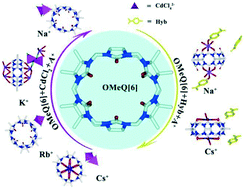 Graphical abstract: Supramolecular coordination assemblies of a symmetrical octamethyl-substituted cucurbituril with alkali metal ions based on the outer-surface interactions of cucurbit[n]urils