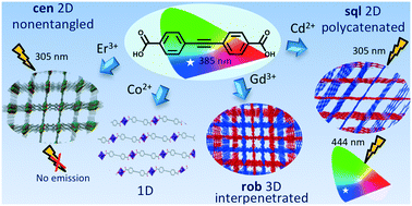 Graphical abstract: A series of coordination networks constructed from the rigid ligand 4,4′-ethynylenedibenzoate: topological diversity, entanglement, supramolecular interactions and photophysical properties