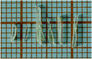 Graphical abstract: Syntheses, crystal structures and characterization of three alkaline metal borates