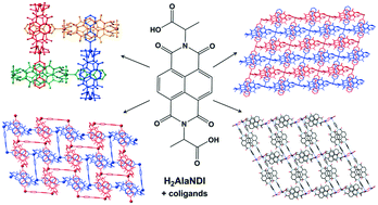 Graphical abstract: A robust metallomacrocyclic motif for the formation interpenetrated coordination polymers